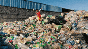 easylife earth easy life GIF