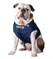 Yale Bulldogs Dogs Sticker by Handsome Dan