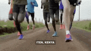 viceland GIF by VICE WORLD OF SPORTS