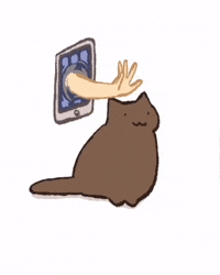 Cat Petting GIF