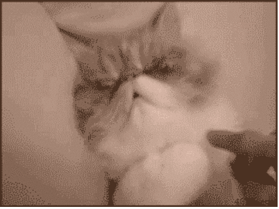 sleepyhead GIF