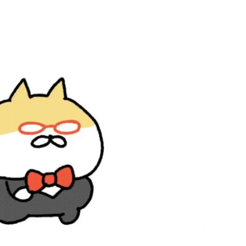 Fat Cat 고양이 GIF