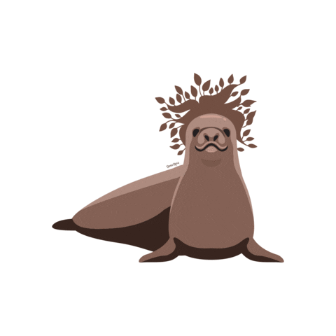 donaraiz giphyupload saúde dieta foca Sticker