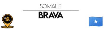 Noir Brava Sticker by NoirNomads