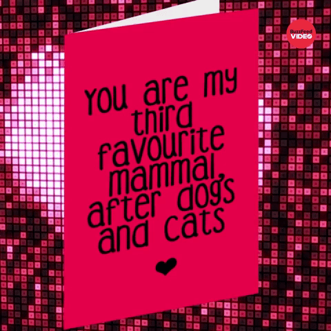 You're My Third Favorite Mammal