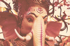 Shahrukh Khan Bollywood GIF by India