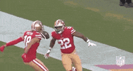 2019 Nfl Football GIF by NFL