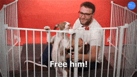 Free HIm!