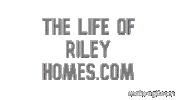 Thelifeofrileyhomes website riley lifeofriley Sticker