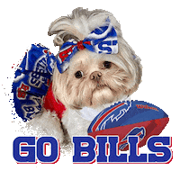 Buffalo Bills Football Sticker by Pimp Yo Pets