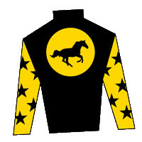 Queens Plate Sticker by Woodbine