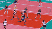 Shall Not Pass No Way GIF by Volleyball World