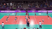 Shall Not Pass No Way GIF by Volleyball World