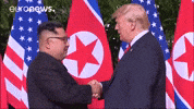 Donald Trump GIF by euronews