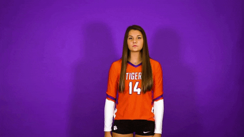 Clemsonvb Championshipbehavior GIF by Clemson Tigers