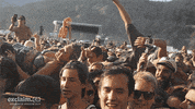 Festival Concert GIF by Exclaim!