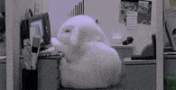 summer wants GIF