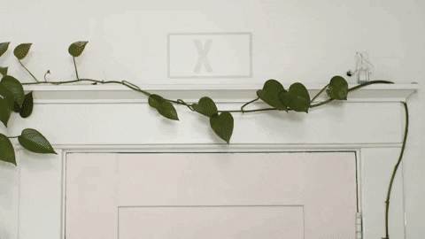 exit strategy gtfo GIF by evite