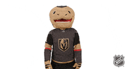 Ice Hockey Sport GIF by NHL