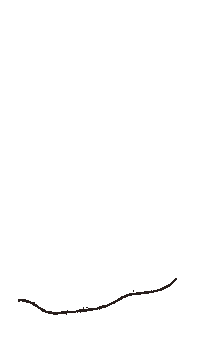 Film Cable Sticker by bildbrauerei