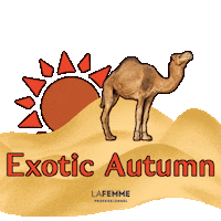 Sun Autumn Sticker by LaFemme