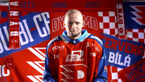 Hockeytown GIF by HC Dynamo Pardubice