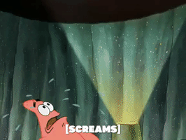 season 5 episode 10 GIF by SpongeBob SquarePants