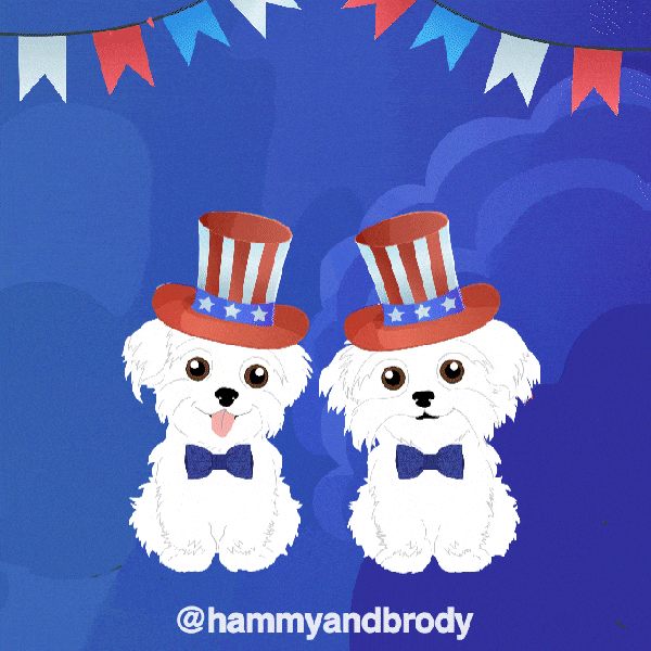 United States Dogs GIF by HammyandBrody