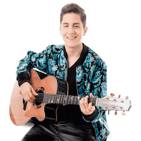 hugohenriqueoficial music hh sertanejo violao Sticker