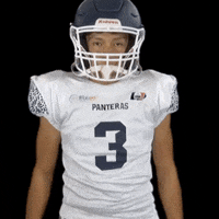 PanterasPuebla football futbol flag puebla GIF