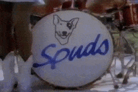 spuds mackenzie drums GIF