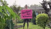 Climate Change Environment GIF by Lake Street Dive