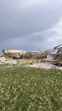Pigs on the Loose as Tornado Destroys Barns in Iowa