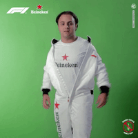 felipe massa f1 GIF