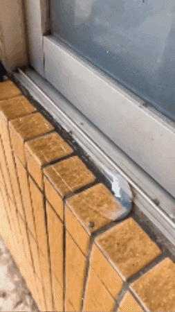 sebatiangg92 giphygifmaker GIF
