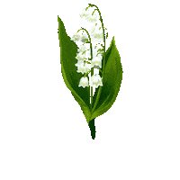 Happy True North Sticker by Caroline Spence