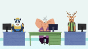 rewiredotorg animation pbs career infographic GIF