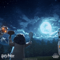 Wizardingworld GIF by LEGO