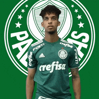 tamo junto aceito GIF by SE Palmeiras