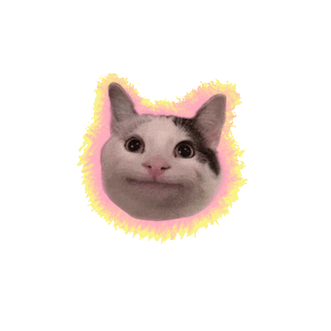 soymarpony happy cat fun meme Sticker