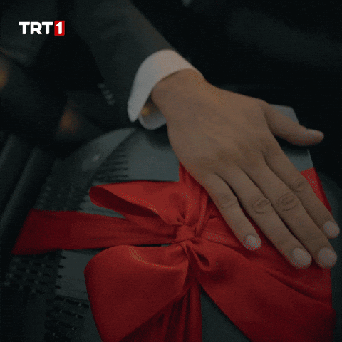 Araba Iskender GIF by TRT
