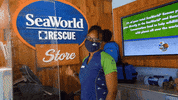 SeaWorld hi wave welcome waving GIF