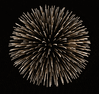 GIF by hoppip