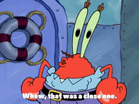 season 4 enemy in-law GIF by SpongeBob SquarePants