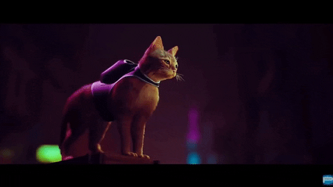 yj_jane giphygifmaker GIF