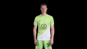 Germany Deal With It GIF by VfL Wolfsburg