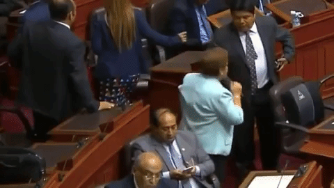 luz salgado GIF