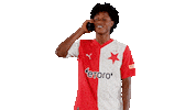 Football Soccer Sticker by SK Slavia Praha
