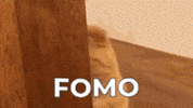 Press Release Cat GIF by Web3 Newswire