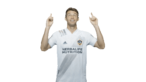 Los Angeles Football Sticker by LA Galaxy